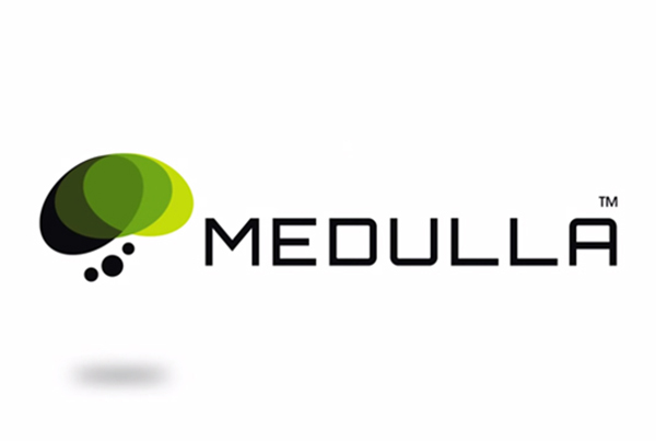 We Are Medulla